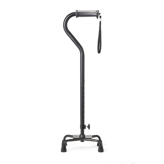 Wandelstok Quadro