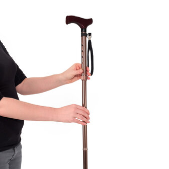 Wandelstok opvouwbaar &ndash; brons