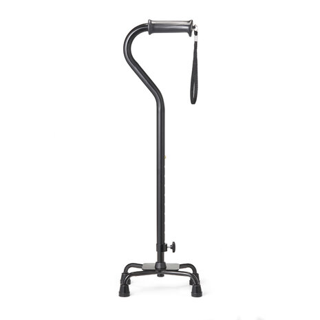 Wandelstok Quadro